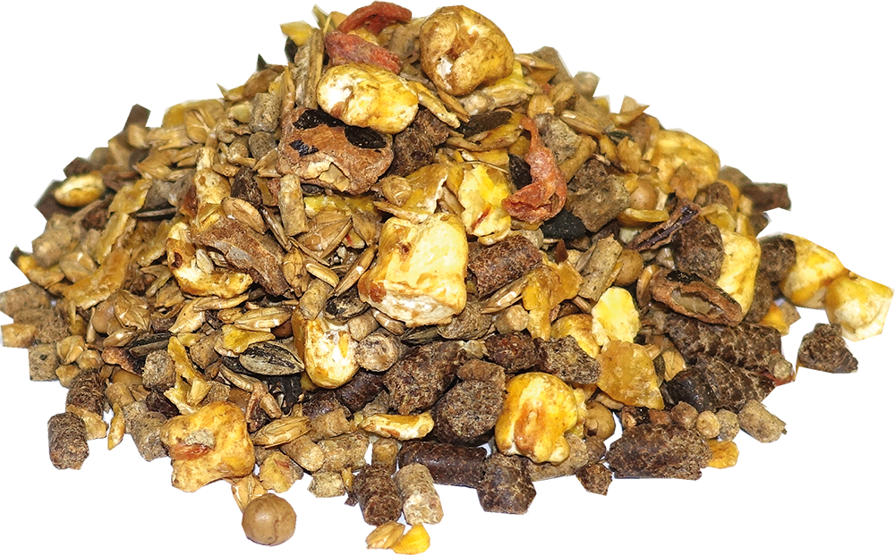 sportpferdefutter-salvana-kompakt-müsli-sport-mineralisiert-sportmüsli-pferd