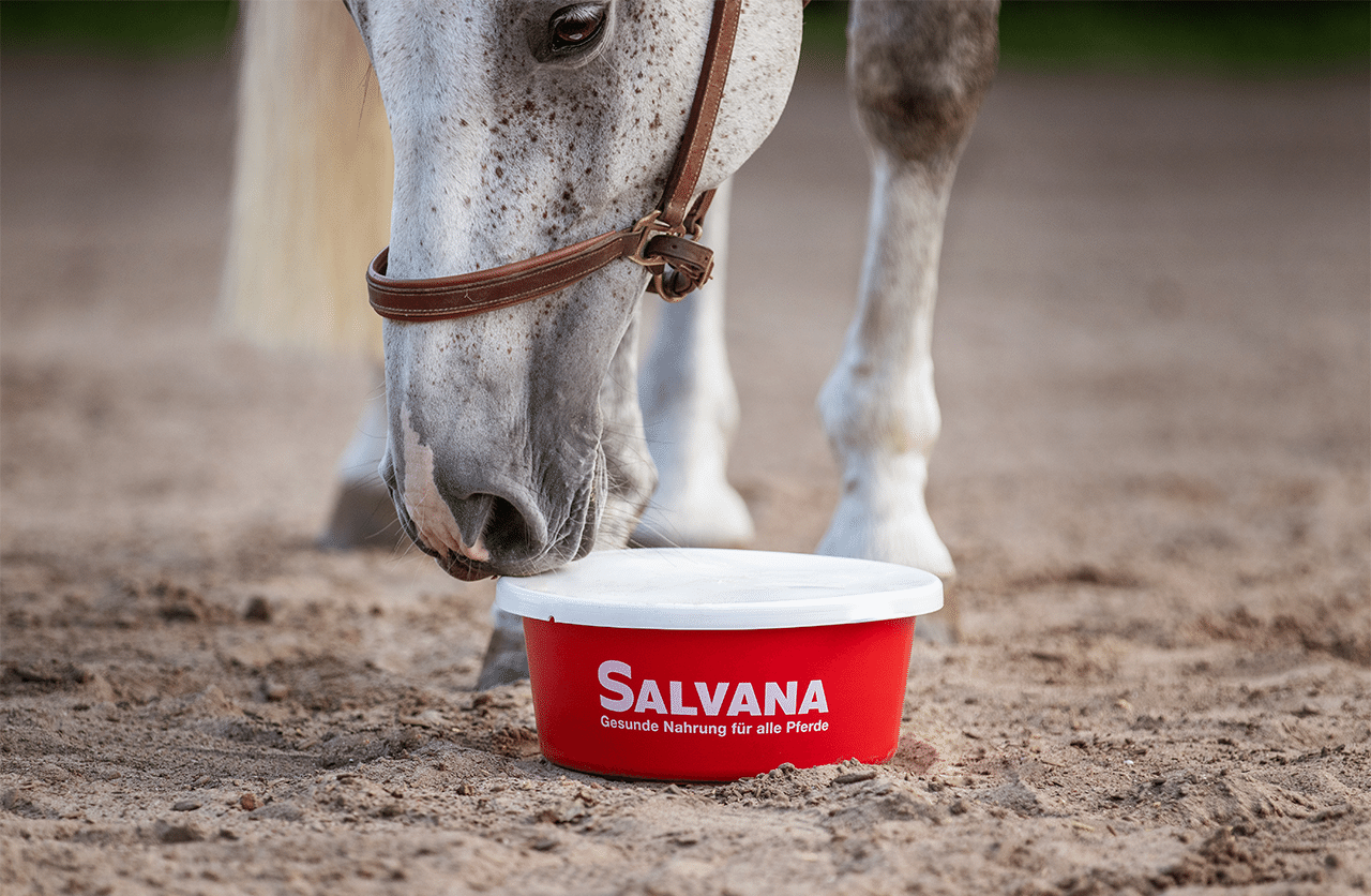müslischale-deckel-salvana-zubehör-fütterung-stall-futterschüssel-füttern-pferd