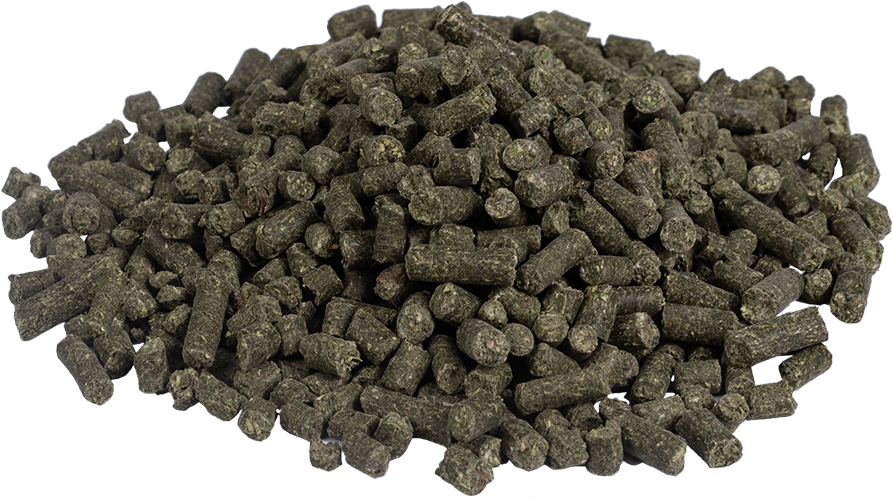 salvana-senior-pferdemineral-pelletiertes-mineralfutter-alte-pferde-aminosäuren