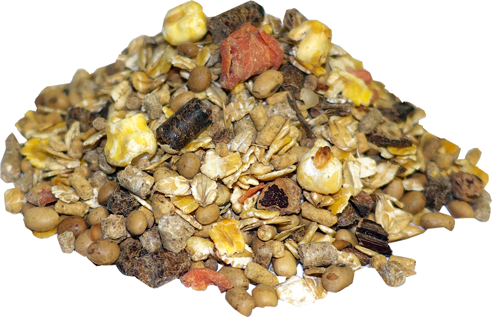 mineralisiertes-fohlenmüsli-kompakt-müsli-zucht-haferfrei-aufzuchtfutter-pferde
