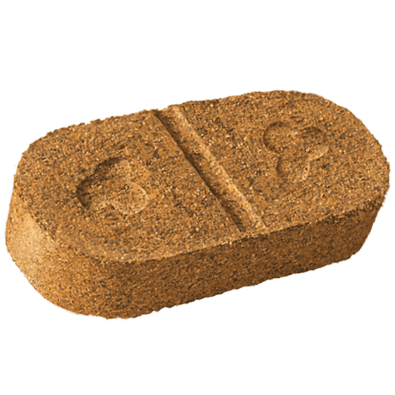 zuchtfutter-karotin-salvana-trächtigkeit-deckhengste-beta-carotin-fruchtbarkeit