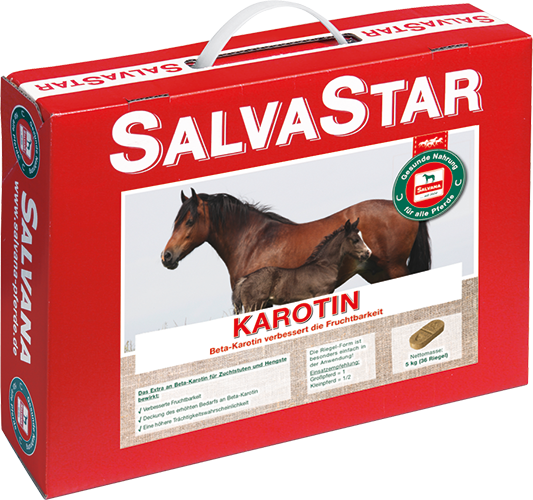 salvastar-karotin-riegel-fruchtbarkeit-zuchtpferde-beta-carotin-zusatzfutter