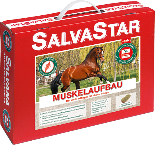 salvastar-muskelaufbau-mineralisiertes-zusatzfutter-aminosäuren-muskulatur-pferd