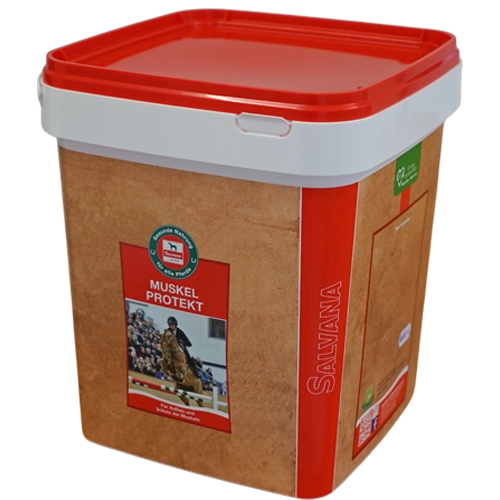 salvana-muskel-protekt-aminosäuren-shot-regeneration-zusatzfutter-pferd-schutz