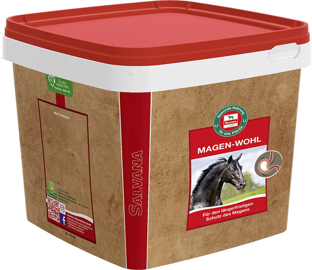 salvana-magen-wohl-zusatzfutter-magenschutz-pferd-humin-dragees-pferdefutter