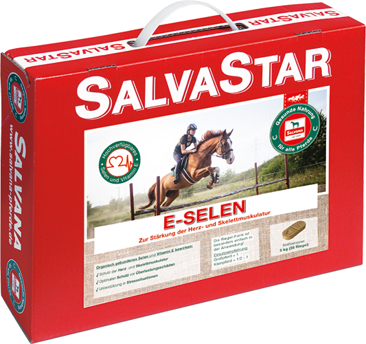 salvastar-selen-zusatzfutter-herz-skelettmuskulatur-selenmangel-riegel-brikett