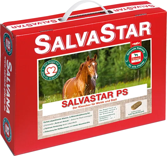 pferdefutter-salvastar-ps-weide-stall-apfel-karotte-mineralfutter-salvana-pferde