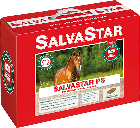 salvastar-ps-mineralriegel-brikett-apfel-karotte-salvana-mineralfutter-pferde