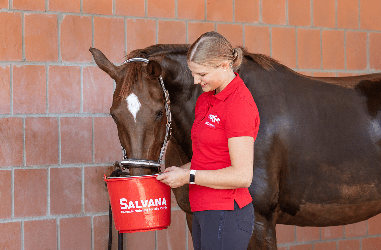 futtereimer-tränkeimer-salvana-eimer-rot-polo-shirt-zubehör-ausstattung-stall