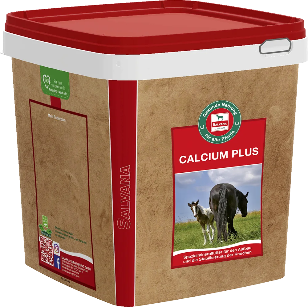 calcium-plus-pferdefutter-mineralfutter-knochen-calciummangel-wachstum