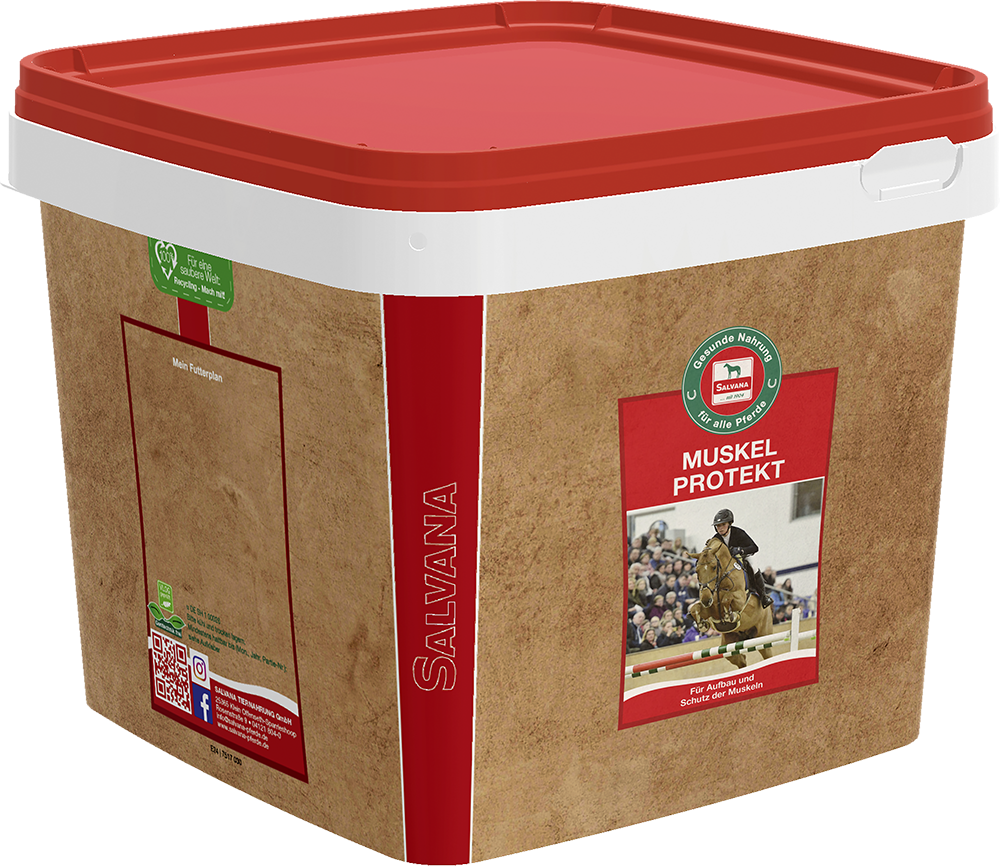 zusatzfutter-schutz-regneration-salvana-muskel-protekt-aminosäuren-shot-pferd